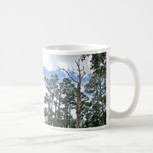 Mug Pins sur Beach Nature Trail OBX NC