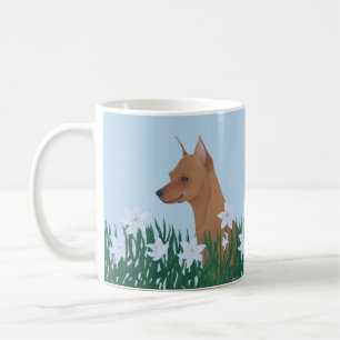 Mug Pinscher miniature