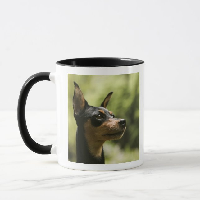 Mug Pinscher miniature (Minute-Pin) 2 (Gauche)