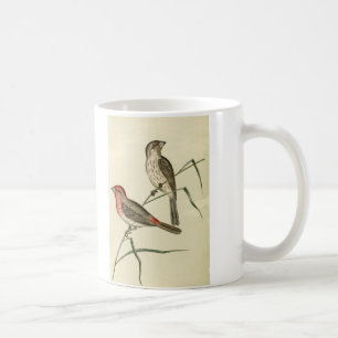 Mug Pinson américain de Chambre