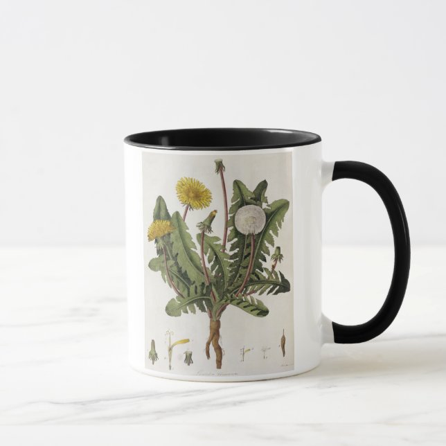 Mug Pissenlit (gravure de couleur) (Droite)