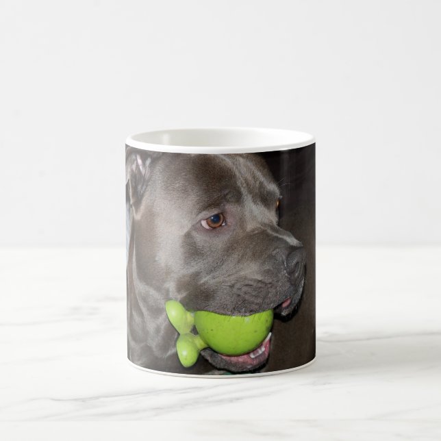 Mug Pitbull avec Balle Verte Amoureux de Chiens  (Centre)