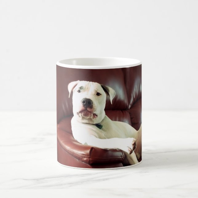 Mug pitbull blanc drôle sur le canapé (Centre)