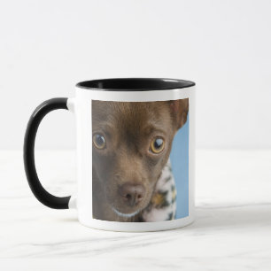 Mug Plan rapproché de chiwawa avec le collier velu