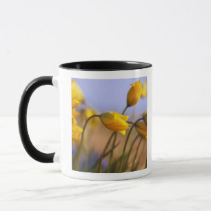 Mug Plan rapproché des jonquilles