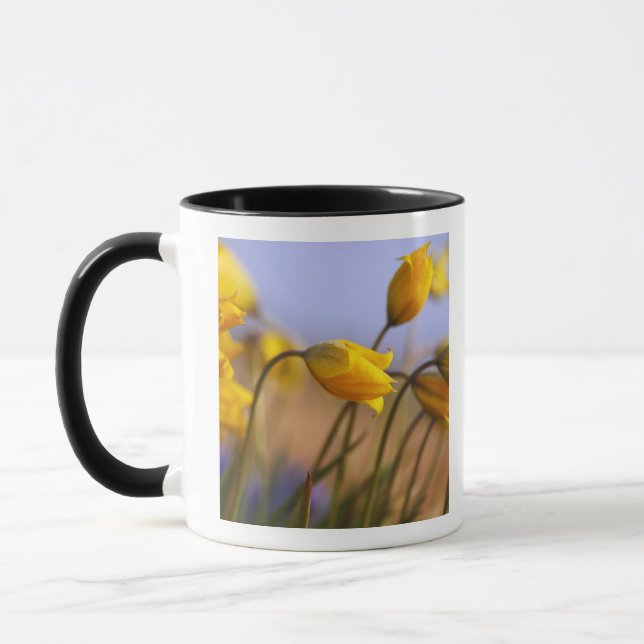 Mug Plan rapproché des jonquilles (Gauche)