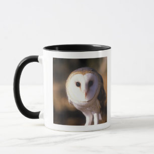 Mug 'Plan rapproché du hibou de grange, terre entre