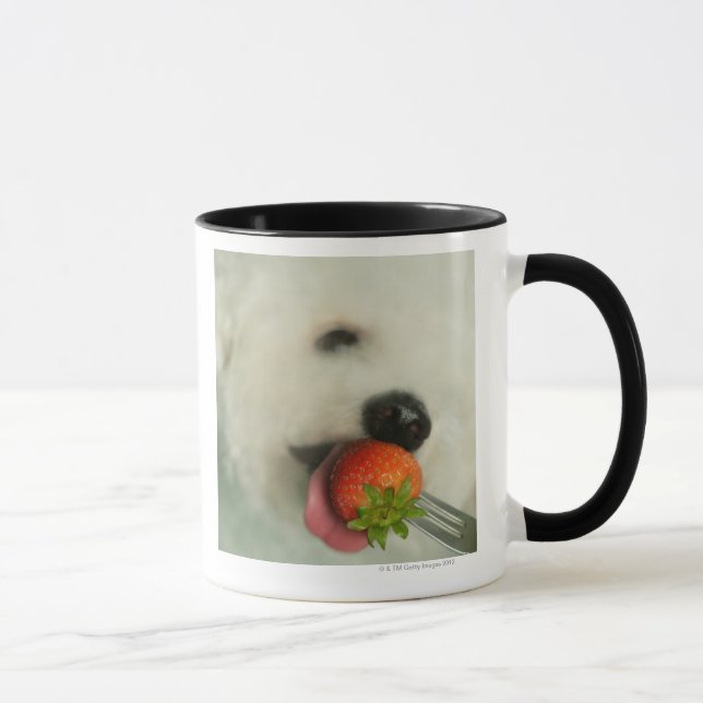 Mug Plan rapproché d'un Bichon Frise mangeant une (Droite)