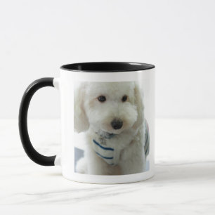 Mug Plan rapproché d'un caniche miniature
