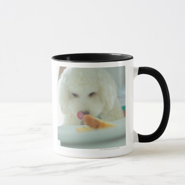 Mug Plan rapproché d'un caniche miniature mangeant de (Droite)