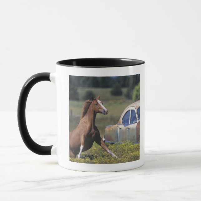 Mug Plan rapproché d'un cheval fonctionnant près d'une (Gauche)
