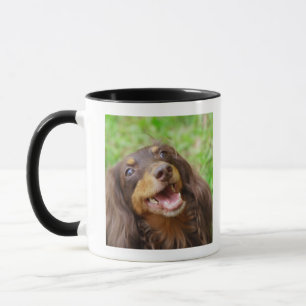 Mug Plan rapproché d'un chien de teckel