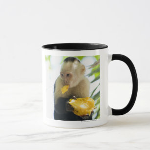 Mug Plan rapproché d'un singe de capucin mangeant d'un