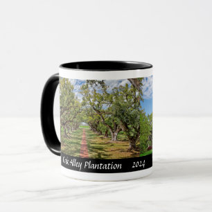 Mug Plantation Oak Alley, Louisiane - Chênes vivants
