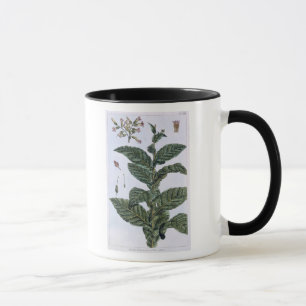 Mug Plante de tabac, plat 7, de 'collection Precieuse