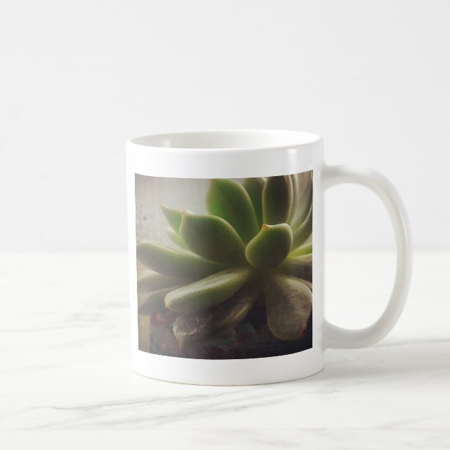 Mug Plante Hen et Chicks (Droite)