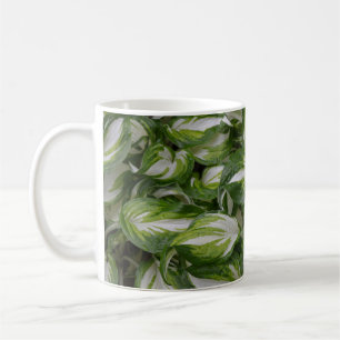 Mug Plante hosta trié