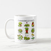 Plantes carnivores mignonnes
