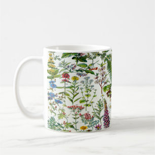 Mug Plantes médicinal