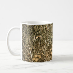 Mug plantes secs irréguliers sur la plage recouverte d