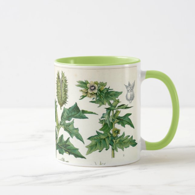 Mug Plantes toxiques (Droite)