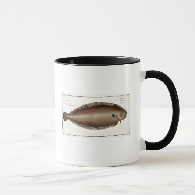 Mug Plat unique XLV de Douvres (Solea Solaea) de (Droite)