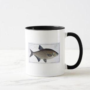 Mug Plat XIII de brème (Brama de Cyprinus) de