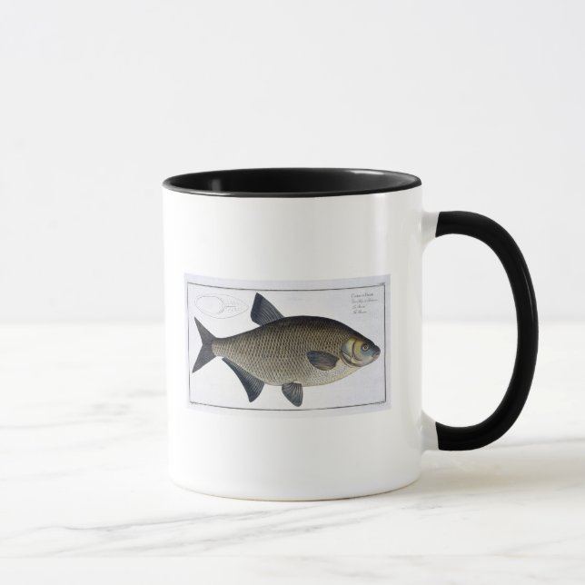 Mug Plat XIII de brème (Brama de Cyprinus) de (Droite)