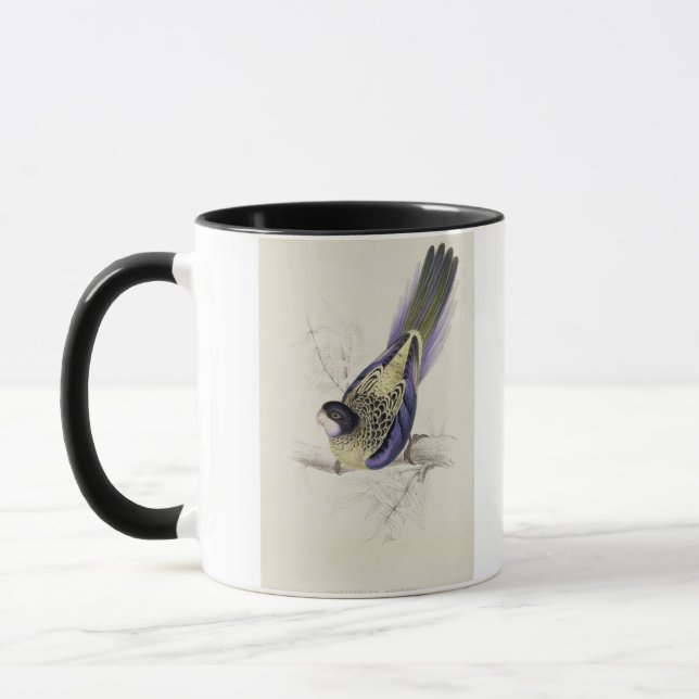 Mug Platycercus Brownii, ou Parrakeet de Brown (plat 2 (Gauche)