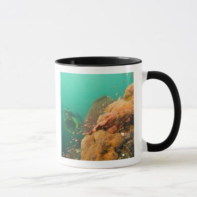 Mug plongeur & Scorpionfish Scorpanopsis (Droite)