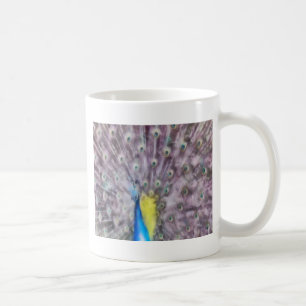 Mug Plumes fines Peacock Mating Plumage