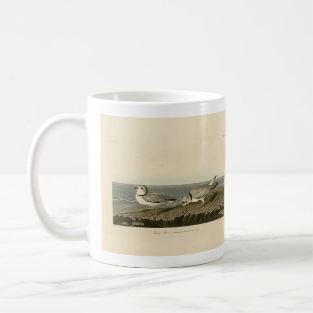 Mug Pluvier siffleur des oiseaux d'Amérique d'Audubon (Gauche)