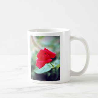 Mug Poème d'amour et bourgeon de rose rouge