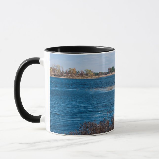 Mug point de marais à refuge de Necedah (Gauche)