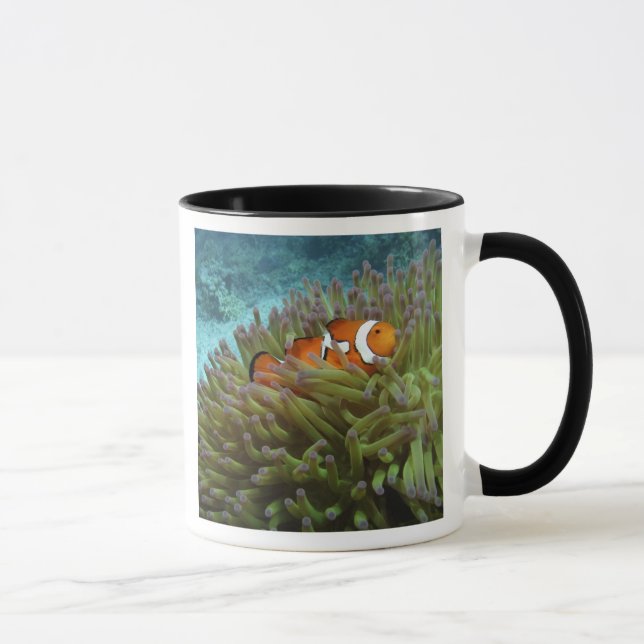 Mug Poisson clown ( Amphiprion ocellaris ) (Droite)