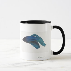 Mug Poissons de Betta ou poissons de combat siamois