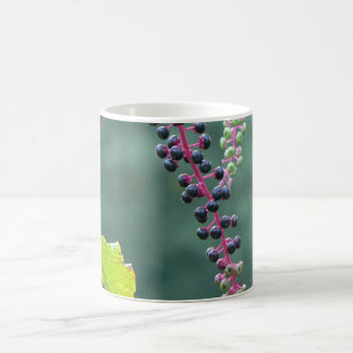 Mug Pokeweed avec les baies de maturation