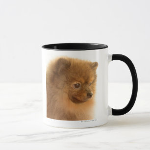 Mug Pomeranian