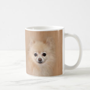 Mug Pomeranian font face