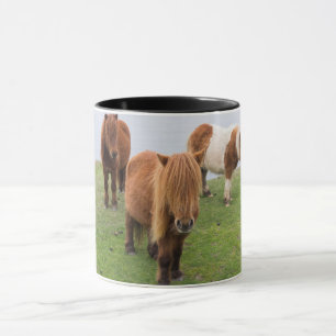 Mug Poney Shetland sur le pâturage près de hautes fala