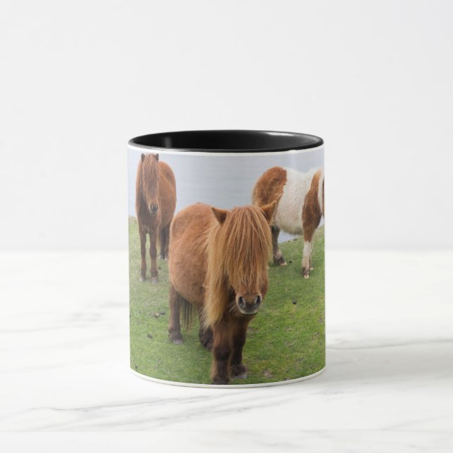 Mug Poney Shetland sur le pâturage près de hautes fala (Centre)