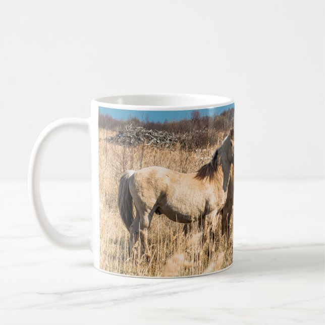Mug poneys Wild Konik Wicken Fen Cambridgeshire UK (Gauche)