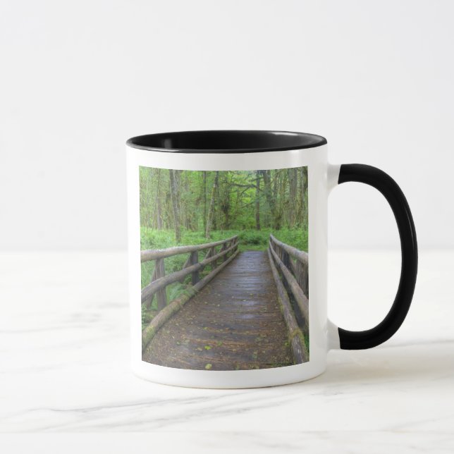 Mug pont en bois du sentier Maple Glade, fougères et (Droite)