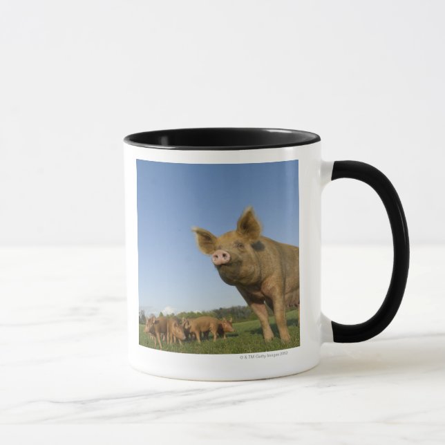 Mug Porc dans un domaine (Droite)