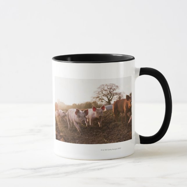 Mug Porcelets dans la basse-cour (Droite)