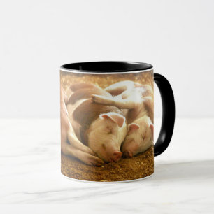 Mug Porcs se blottissants des images   de Getty
