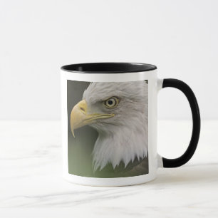 Mug Portrait d'aigle à tête blanche adulte, Haliaeetus