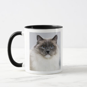 Mug Portrait de chat de Ragdoll