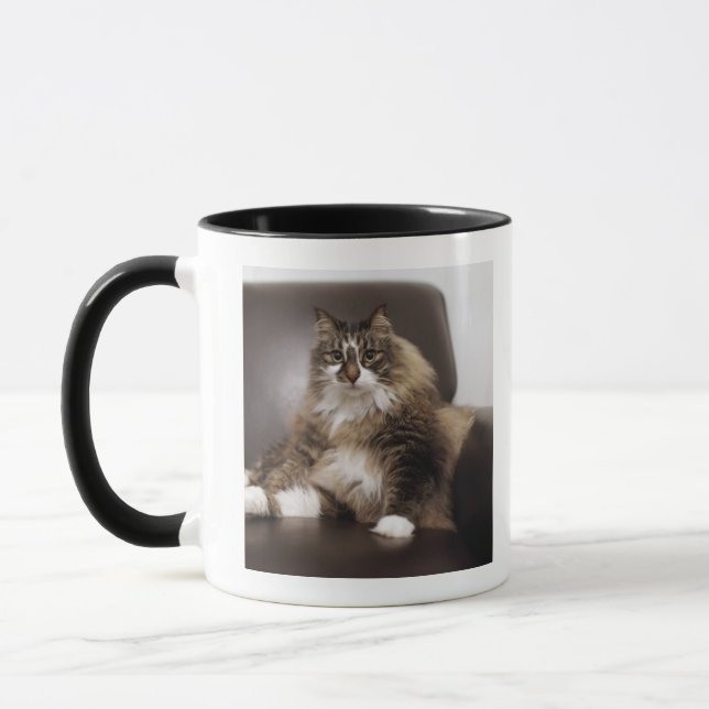 Mug Portrait de chat se reposant dans la chaise (Gauche)