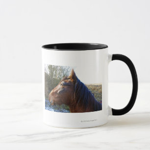Mug Portrait de cheval brun le jour froid